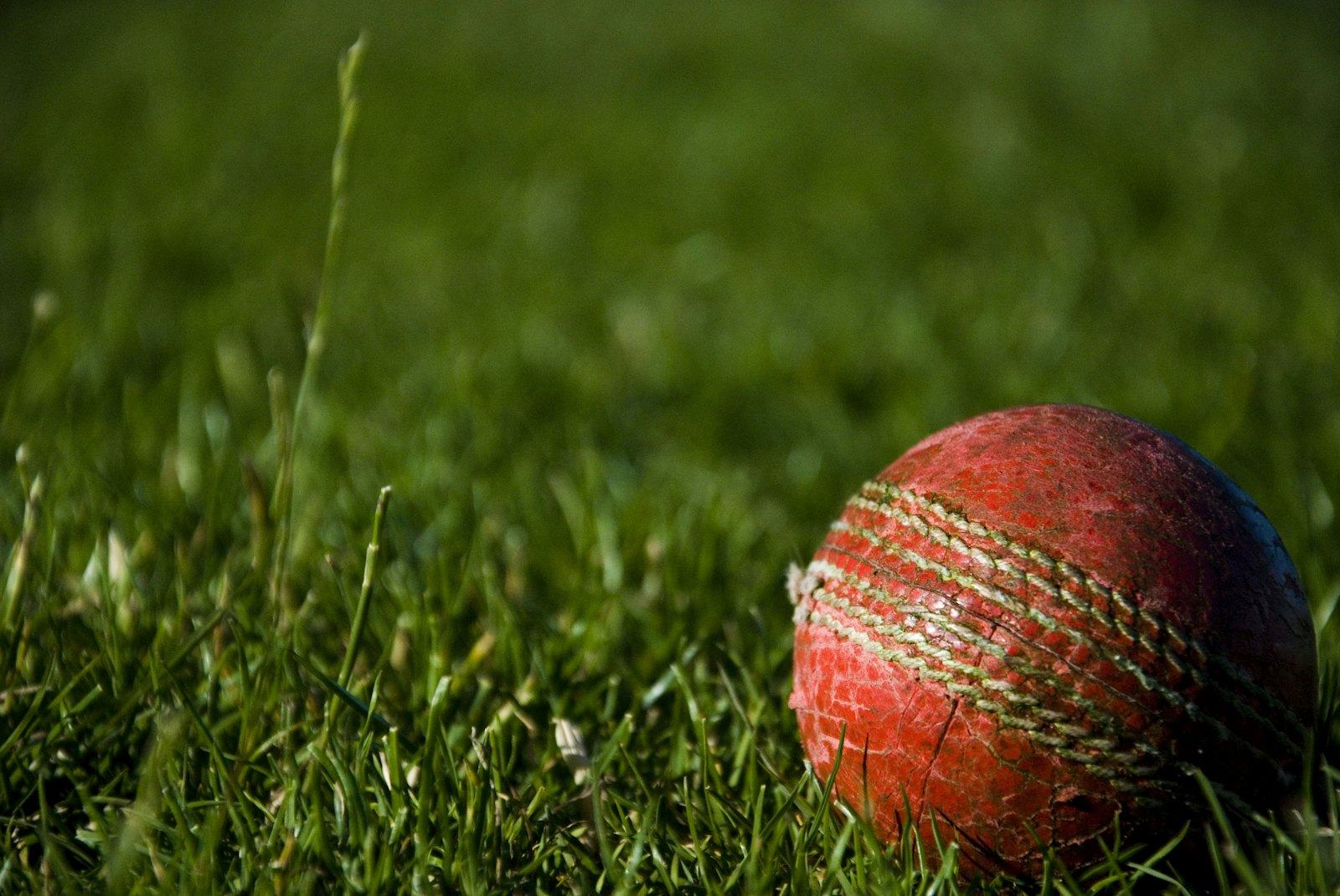 A cricket ball on grass