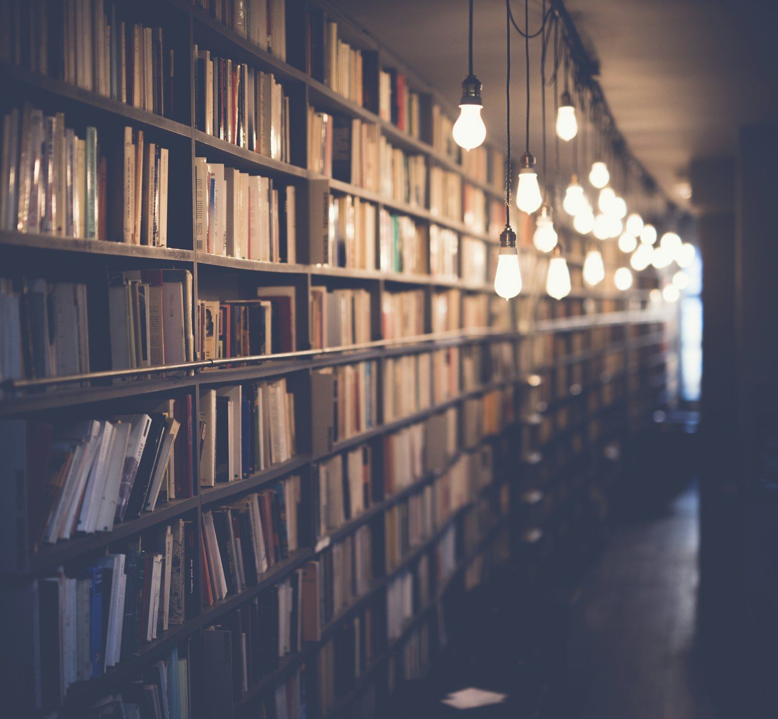 Shelves of books in a library